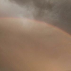 Meet your Posher, Lola